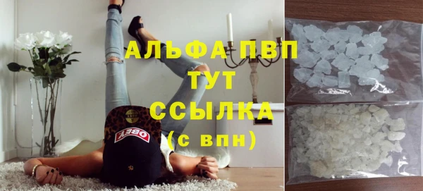 прущие крисы Беслан