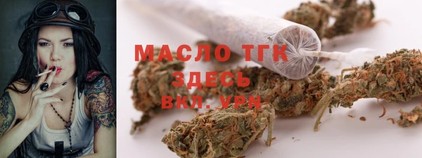 мдпв Надым