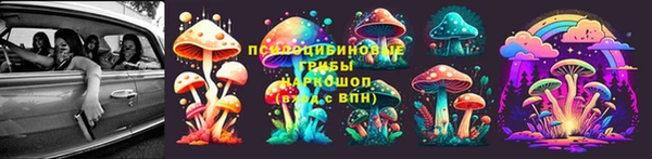 мдпв Надым