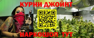 СК Гатчина