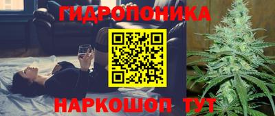 СК Гай