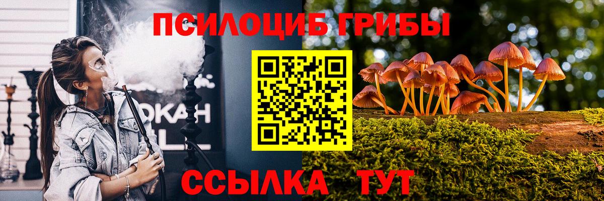 Галлюциногенные грибы мицелий Красный Сулин