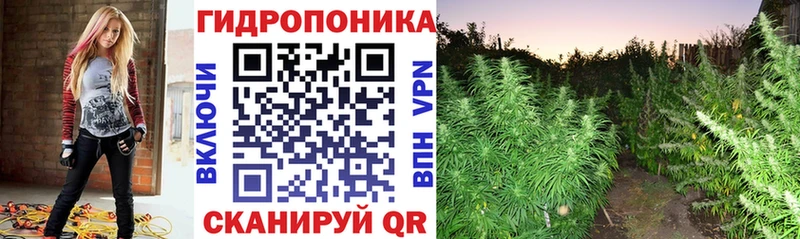 Бошки марихуана ГИДРОПОН Красный Сулин
